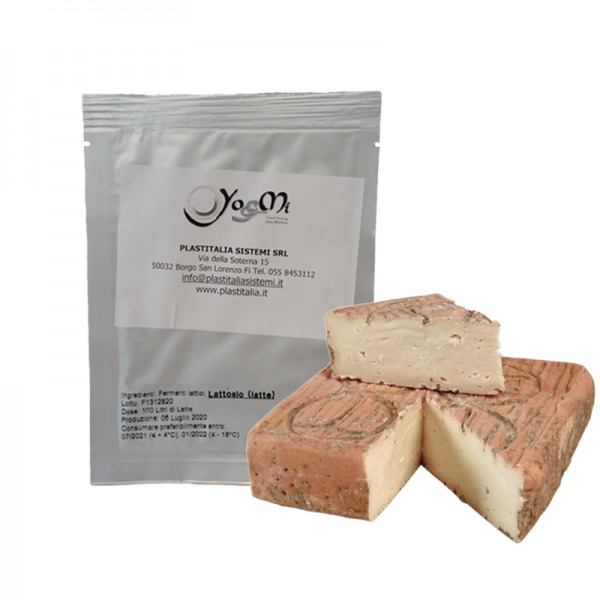 Fermenti Taleggio Copia